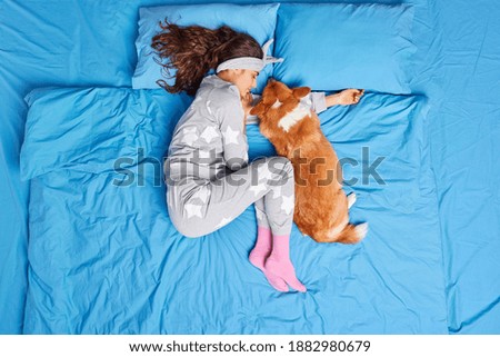 Similar – Image, Stock Photo Tired in bed Animal Pet