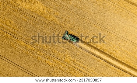 Above top view over agricultural harvester, combine as he cutting and harvesting mature wheat on farmland. Harvest time in summer