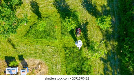 Above Top View Over Beekeeper As Cutting Grass Among Beehives Arranged In A Row, Line, Bee Colony With Motor Lawn Mower. 