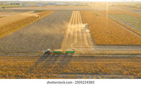 Above view at agricultural harvester is cutting and harvesting mature corn on farm fields, cornfield. Tractor with two trailers is ready for transshipment. Cultivated plots in harvest season - Powered by Shutterstock