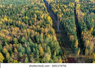 Above view of autumn colored forest with power lines 