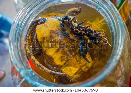 Above view of escorpion and turtle inside of whiskey flask, prepared by locals on an island off the coast of Laos, at the Golden Triangle Special Economic Zone Chinatown