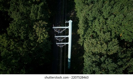 Above View Of  Forest With Power Lines. Aerial View.