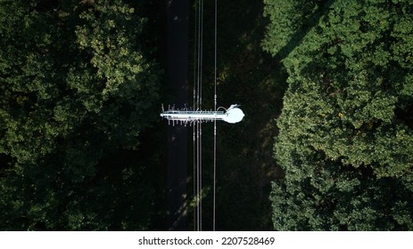 Above View Of  Forest With Power Lines. Aerial Top Down View.