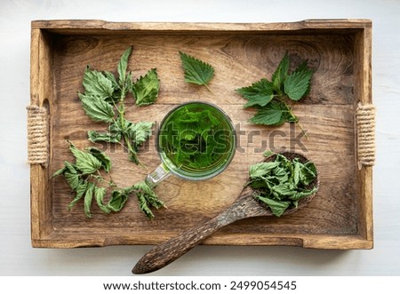 Similar – Image, Stock Photo Stinging nettle (Urtica dioica) in the morning light