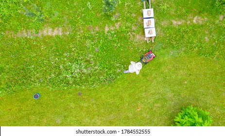 Above View On Beekeeper As He Is Cutting Grass Among Beehives Arranged In A Row, Line, Bee Colony, With Motor Lawn Mower.