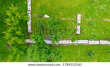 Similar – Image, Stock Photo Beehive from above with many bees