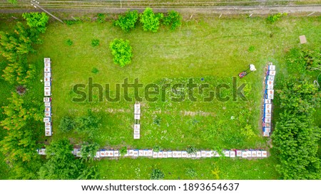 Similar – Image, Stock Photo Beehive from above with many bees