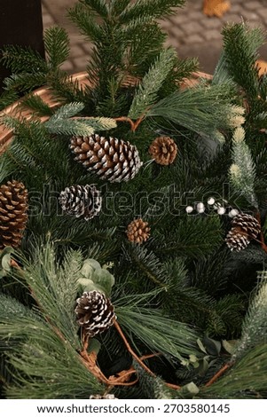 Above view on pine tree branches with Christmas fairy lights and cones
