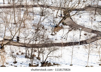 above view of paths between last melting snow in urban garden in Moscow in spring - Powered by Shutterstock