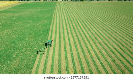 Above view, tractor is pulling grass cutting machine over field with clover, cutting alfalfa in straight lines, side swath mower.