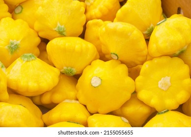 Above view of yellow pattypan summer squash piled for sale at Farmer's Market.