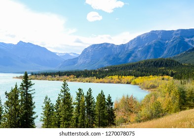 Abraham Lake with autumn leaves, Banff National Park, Canadian Rockies, Alberta, Canada