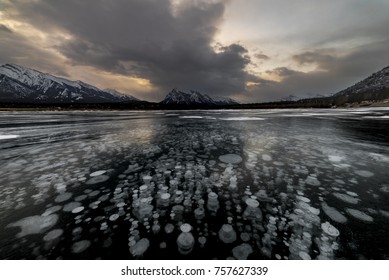 Abraham Lake Bubbles