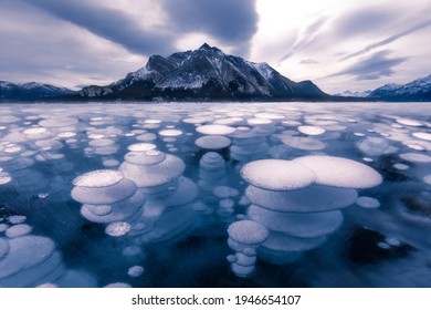 Abraham Lake Winter Ice Formation Bubbles