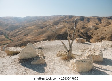 Abraham sacrifice Isaac for God - lonely burned tree in the rocky canyon desert in Israel close to jerusalem. Bible place Judean desert . holy land mountains. rocky road. with 