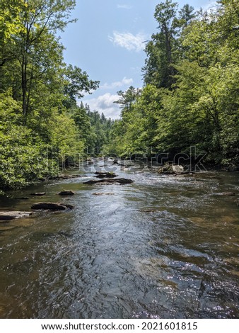 Abrams Creek at  Little Bottom Trail 