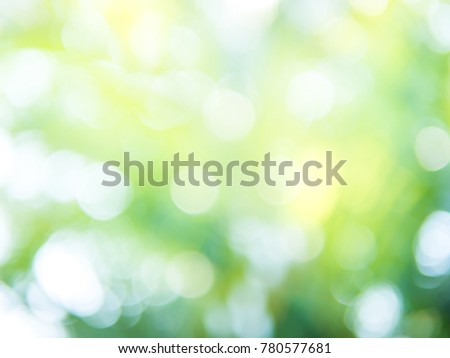 Absrtact: Natural green light background bokeh

