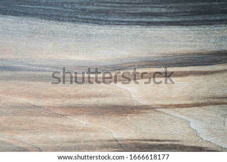 Absrtaction brown and blue striped tree texture on background