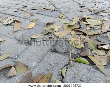 abstrack background autumn theme beautiful