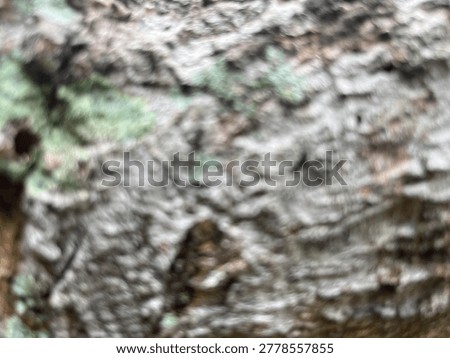 Abstrack background colour nature material concept 