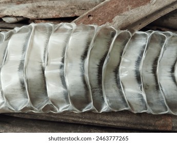 Abstrack pattern texture of Snake skin in the wildlife 