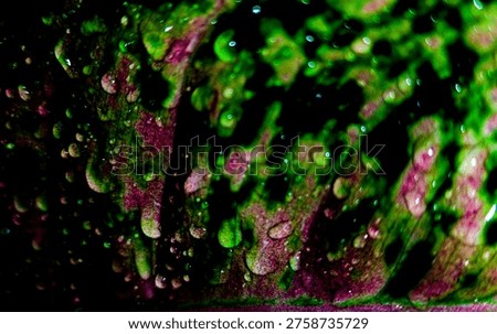 abstrack texture leaves for wallpaper or background design. blur style