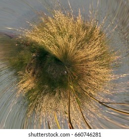 abstract