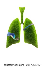 Abstract 3D Lungs On A White Background. Grass Lungs Planet Isolated.