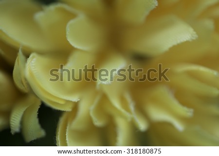 Similar – Image, Stock Photo soon Tagetes will bloom