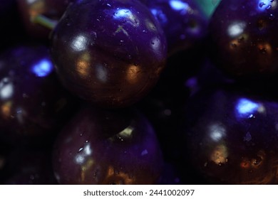 abstract agriculture background berry black blue branch bunch