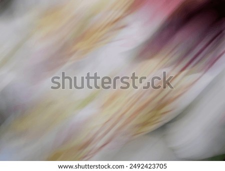 Abstract alstroemeria flower created using ICM (intentional camera movement)