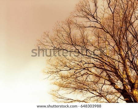 Similar – Image, Stock Photo branch Tree Strong Branch