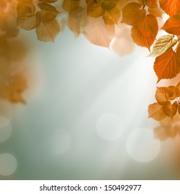 Abstract autumn background with leaves and evening light - Shutterstock ID 150492977