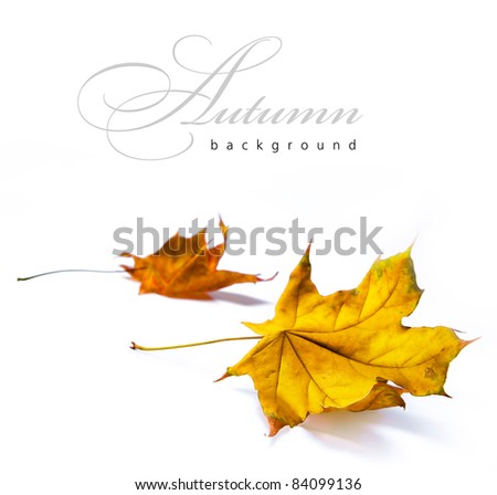 abstract autumn backgrounds