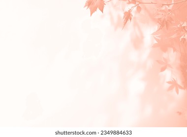 abstract autumnal fall scene in cream color shades. Autumn texture background with shadow of maple tree leaves on a wall. - Powered by Shutterstock