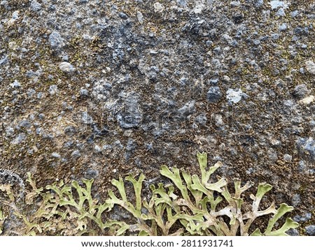 abstract backdrop background closeup color