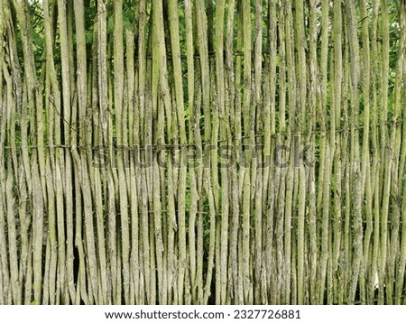 Abstract backdrop in green tones. A fence made of bamboo or other plants, twigs.