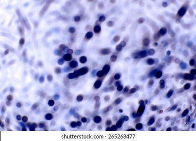 abstract background