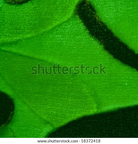 Abstract Background