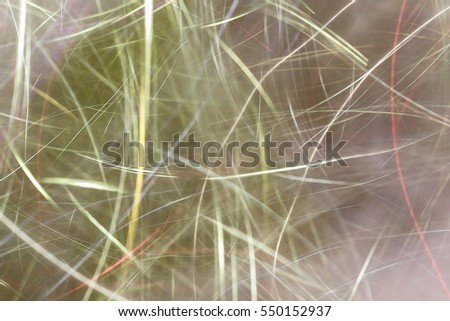 Similar – Image, Stock Photo lightning rain Nature