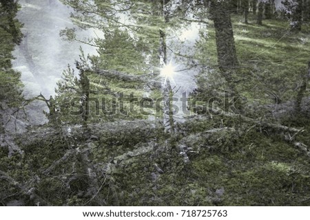 Similar – Image, Stock Photo 2200 raindrops