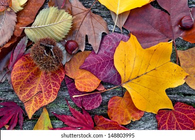 Abstrakter Hintergrund der Herbstblätter. Herbsthintergrund.