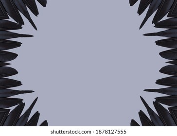 Abstract Background With A Black Feather. Frame For Boho, Folk Or Gothic Style Design. 