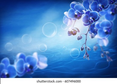 Abstract background with blue orchid flowers