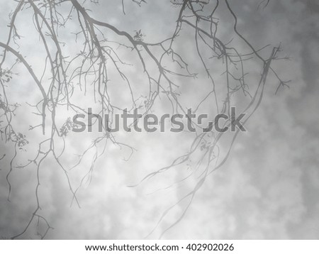 Similar – Foto Bild Fog Nebel Baum