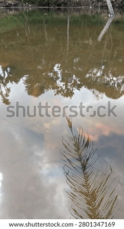 Abstract background of a coconut leaf submerged under turbid river water with sky reflection.