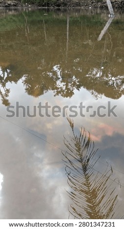 Abstract background of a coconut leaf submerged under turbid river water with sky reflection.