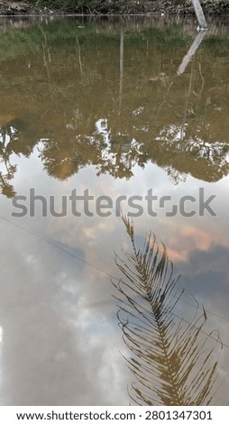 Abstract background of a coconut leaf submerged under turbid river water with sky reflection.