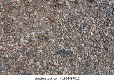 Abstract Background Of Colorful Pebblts On Wet Sand Close Up